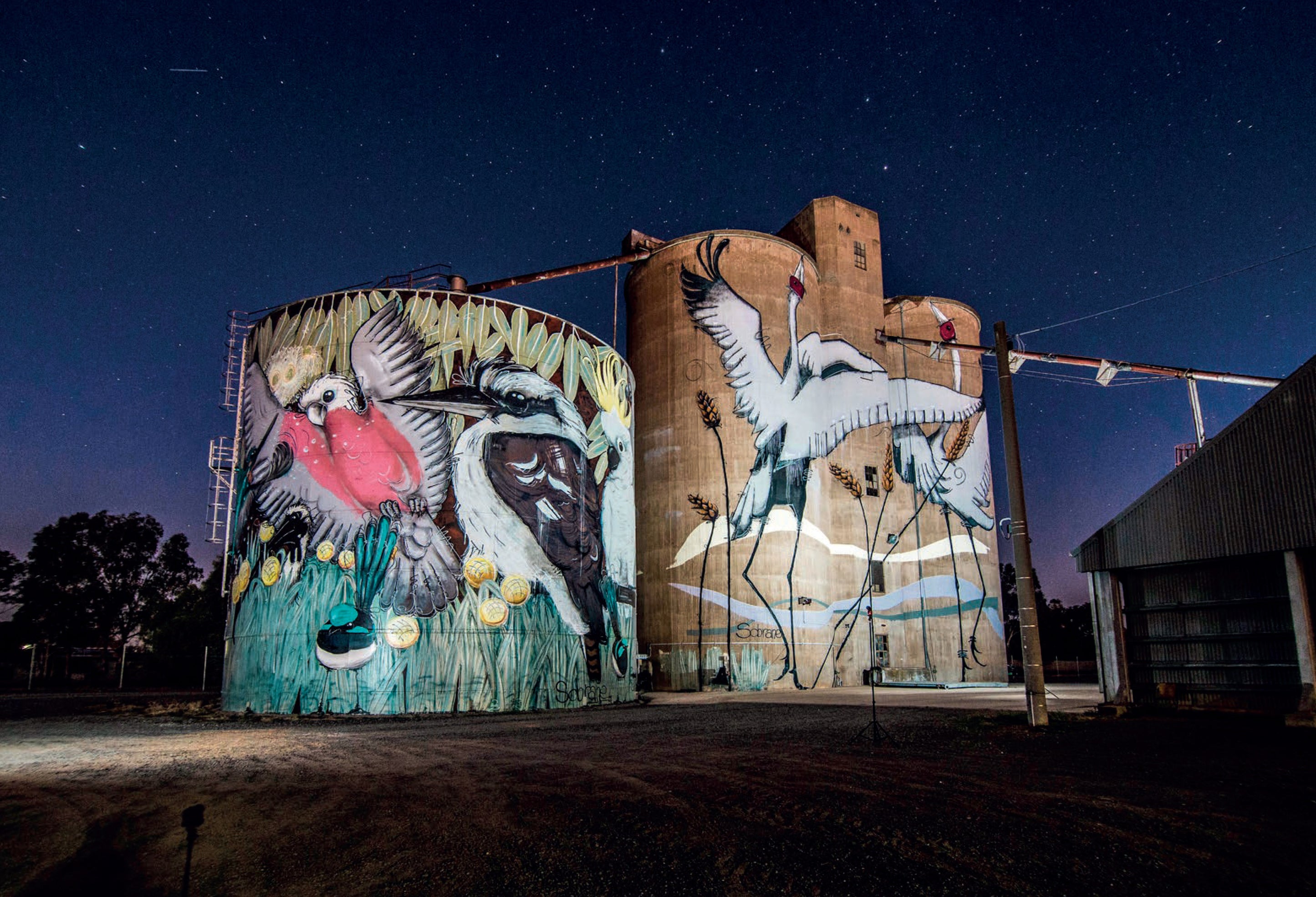 Previous years 2022 Souvenir Silo Art Wall Calendar Australian Silo